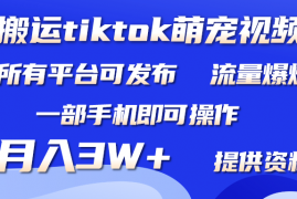 搬运Tiktok萌宠类视频，手机即可。所有平台均可操作，月入3W+