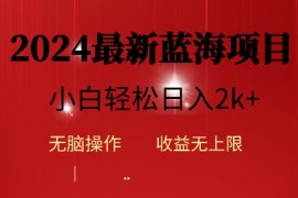 2024蓝海项目ai自动生成视频分发各大平台，日入2k+