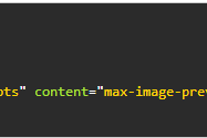 去掉WordPress头部的meta name="robots" content="max-image-preview:large标签
