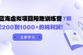 《淘宝蓝海虚拟项目陪跑训练营7期》每天200到1000+的纯利润