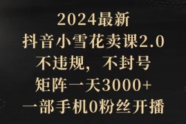 2024最新抖音小雪花卖课2.0  矩阵一天3000+